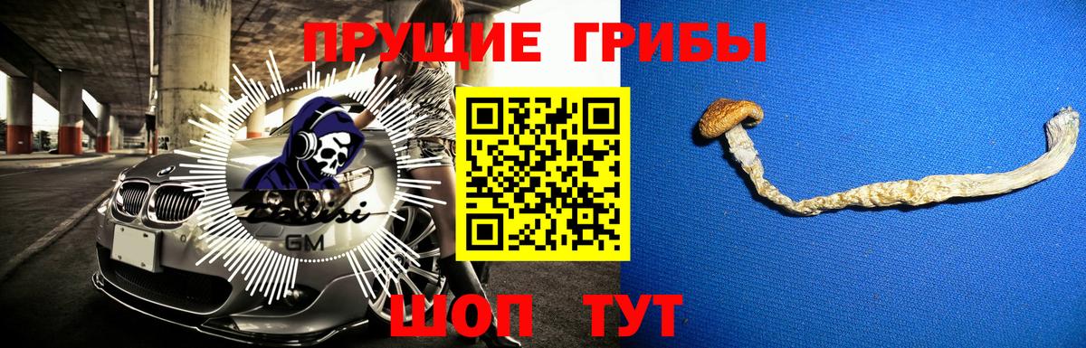 Псилоцибиновые грибы Magic Shrooms Тамбов