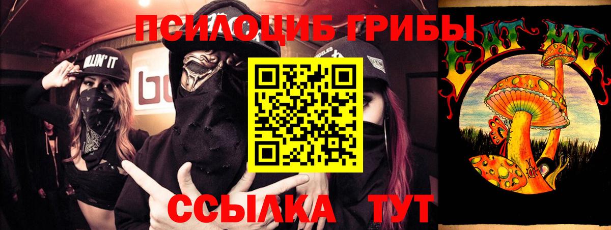 купить наркотики цена  Вход с VPN  Тамбов  Псилоцибиновые грибы MAGIC MUSHROOMS 